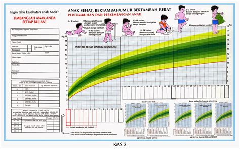 kms online|Kartu Menuju Sehat (KMS) Online.